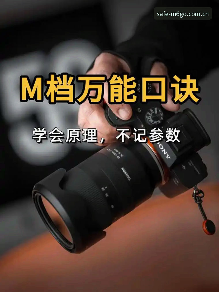 快速掌握M6官网入口的实用技巧，安全直达不再烦恼